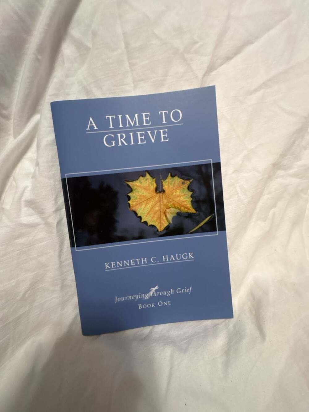A Time to Grieve: Journeying Through Grief Book One by Kenneth C. Haugk